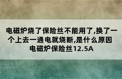 电磁炉烧了保险丝不能用了,换了一个上去一通电就烧断,是什么原因 电磁炉保险丝12.5A